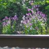 IMGP1402e
