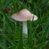 IMGP1636e