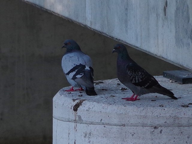 IMGP1792e
