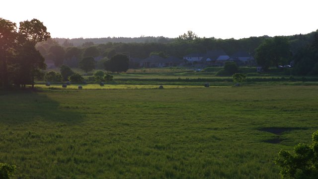 IMGP1954e