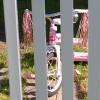 IMGP2496e