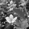 P1021092-crop