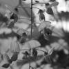 P1021137-crop