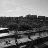 bwPGX92172