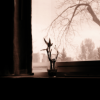 window-view---orton_374112258_o