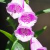 IMGP1357e